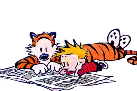 5 Best Comic Strips of All Time, Ranked