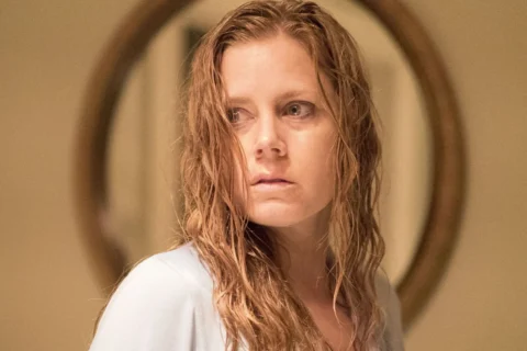 6 Flawless Miniseries With No Weak Episodes, Ranked