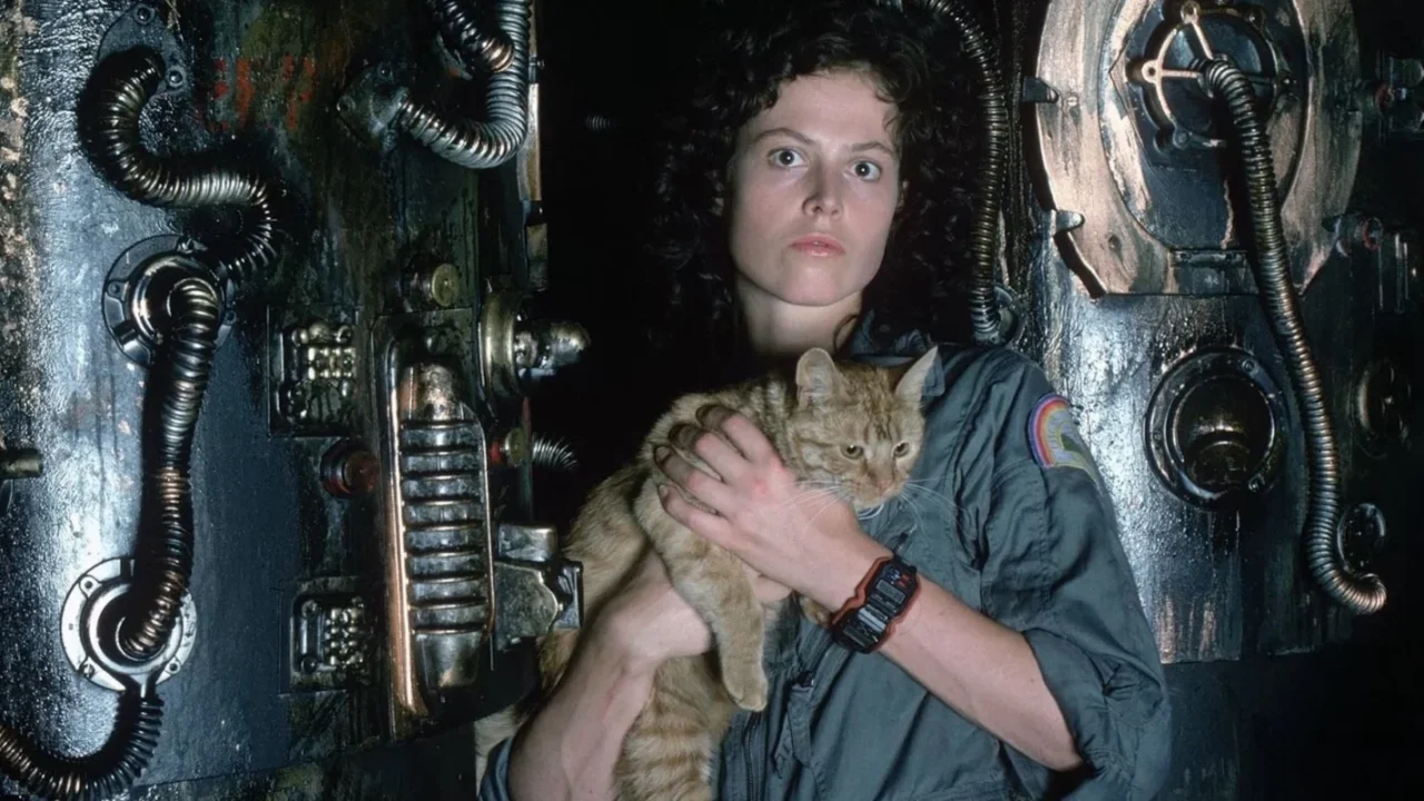 8 Best R-Rated Hard Sci-Fi Movies, Ranked