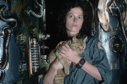 8 Best R-Rated Hard Sci-Fi Movies, Ranked