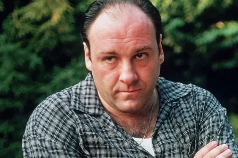 ‘Sopranos’ Meets ‘Yellowstone’ in Hulu's 7-Part Crime Drama Now Climbing the Streaming Charts