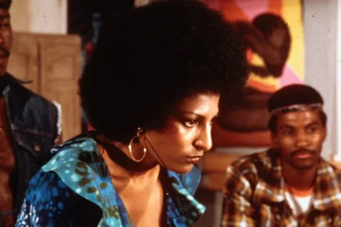 The Divisive Crime Classic That Quentin Tarantino Adores Officially Hits Free Streaming