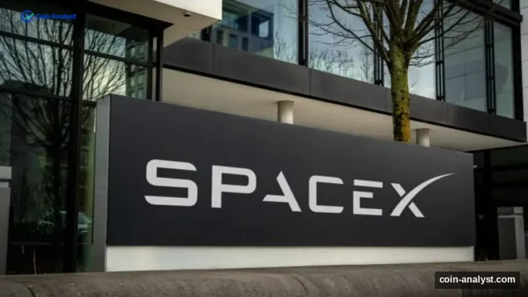 SpaceX Launch Jellyfish May Return as Musk Pledges Shares to the Public